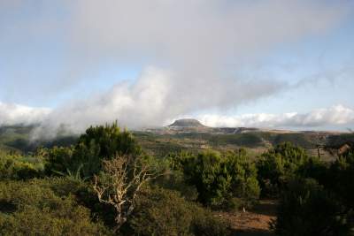 Der Alto de Garajonay auf der Insel La Gomera