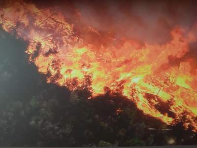 Feuer auf La Gomera (Valle Gran Rey)
