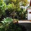 Üppiges Grün im Garten am Ferienhaus 
