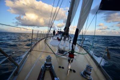 Segeltouren um die Kanarischen Inseln
