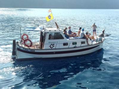 Pura Vida Whale Watching Valle Gran Rey