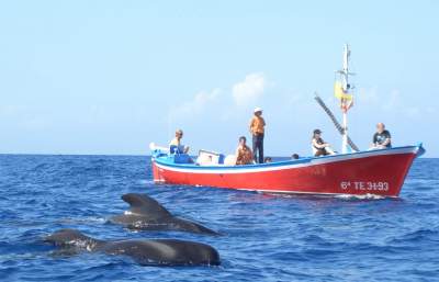 Oceano Whale Watching Valle Gran Rey