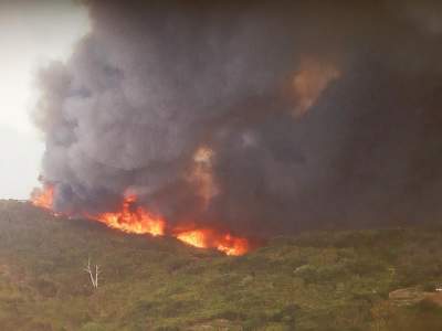 Das Feuer (Waldbrand) auf La Gomera
