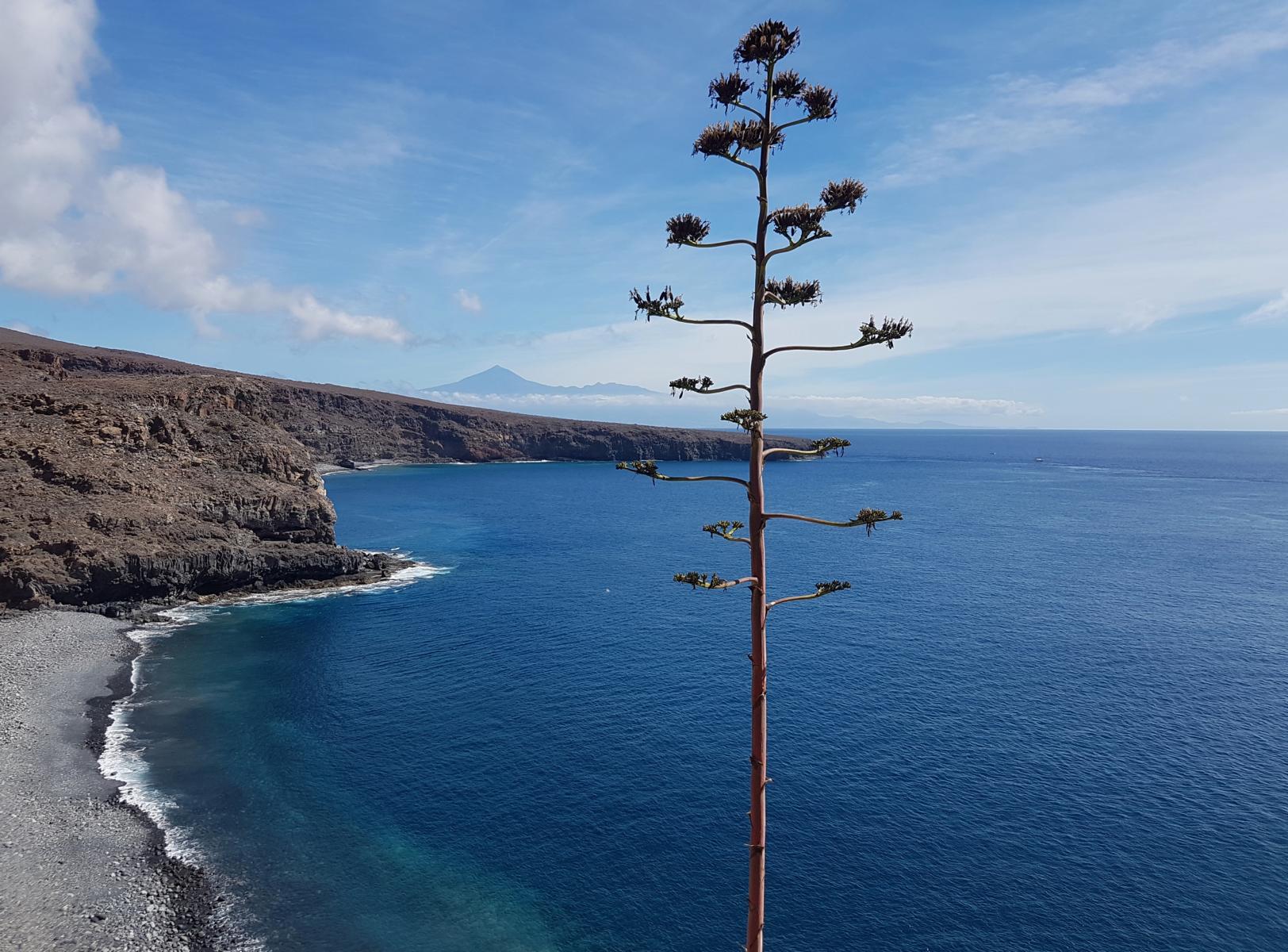 badebucht-playa-santiago-la-gomera.JPG