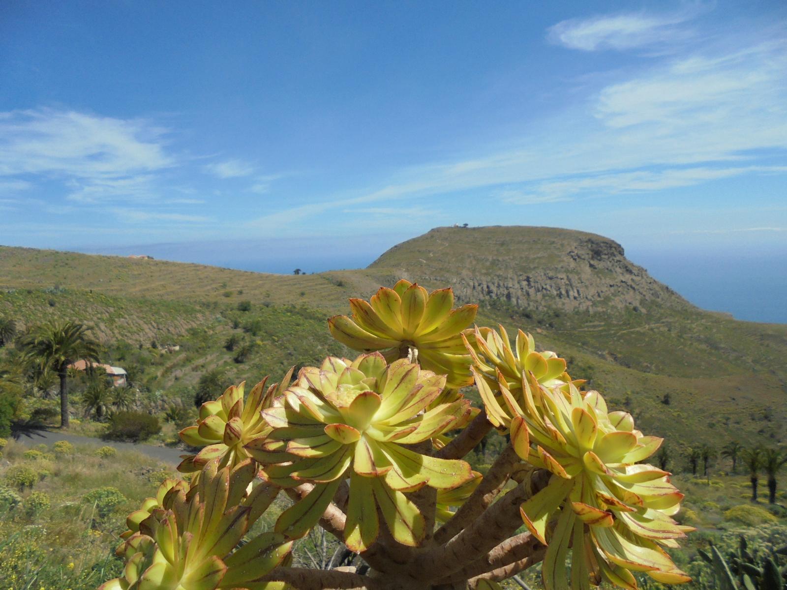 blick-auf-berg-in-alajero.JPG